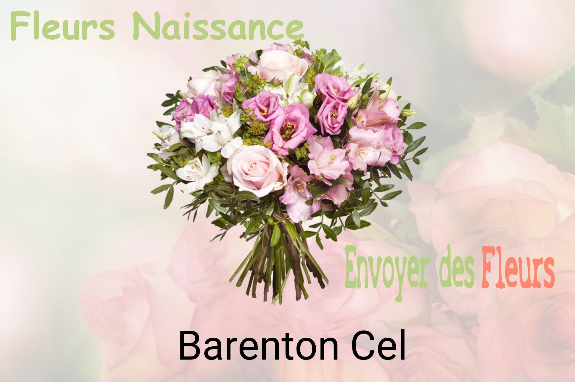 Bouquet de fleurs de naissance livré à Barenton-Cel